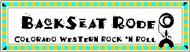 Back Seat Rodeo Banner
